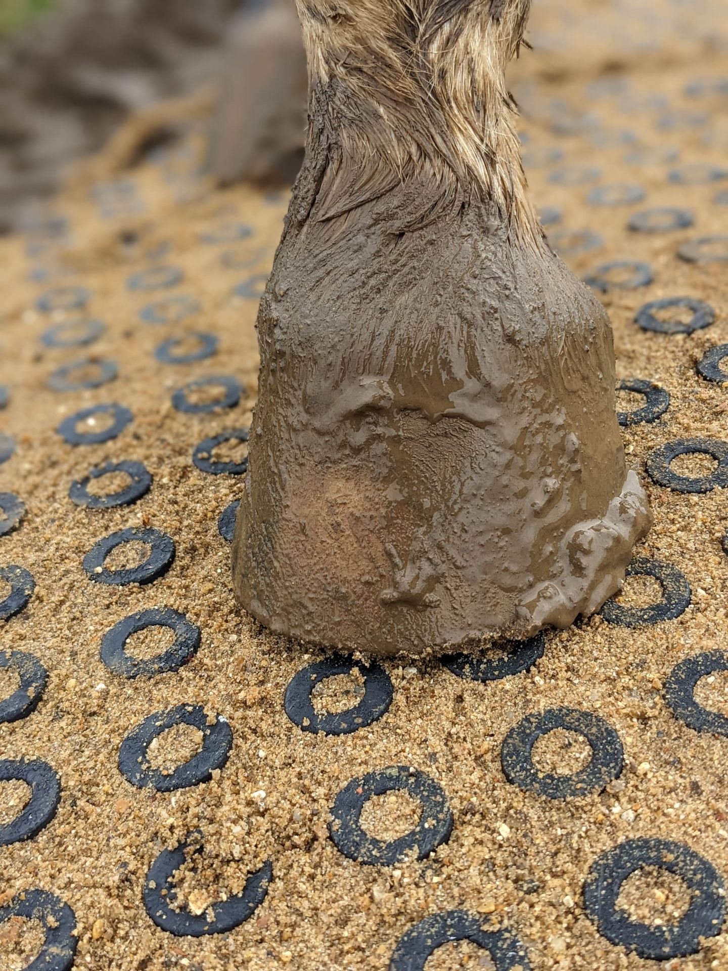 HIT Top Clean Mud Mats Jelka